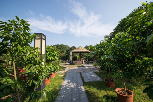 露天温泉