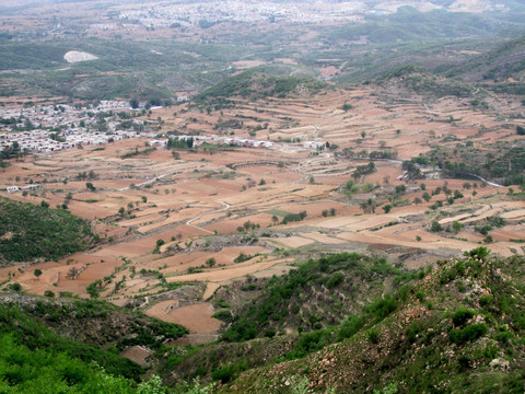 田野 梯田