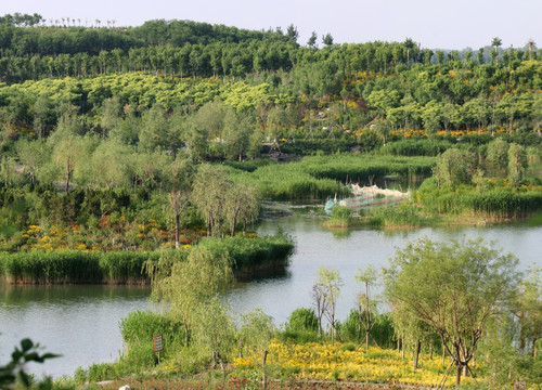 马踏湖湿地公园