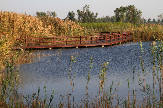 马踏湖湿地公园