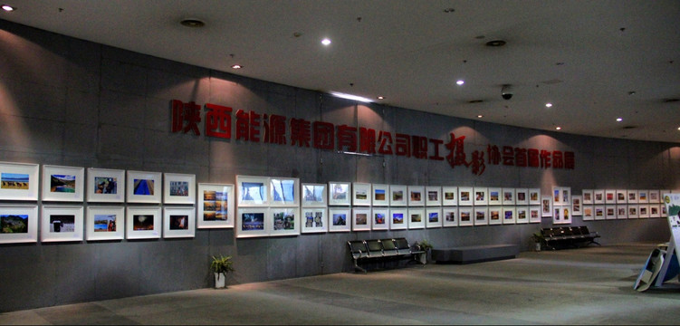 陕西自然博物馆 展览