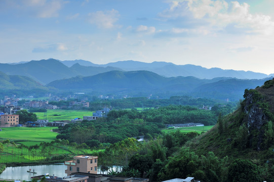 金秋田野