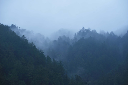 山上雨雾