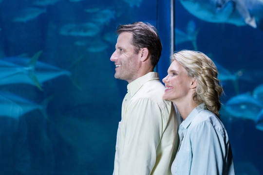 微笑着在水族馆看鱼的夫妇