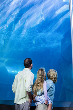 幸福的家庭看着鱼缸里的鱼