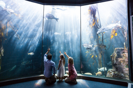 在水族馆看鱼的一家人