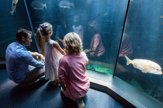 在水族馆看鱼的一家人