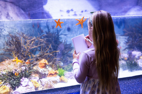 年轻人看着水族馆里的鱼