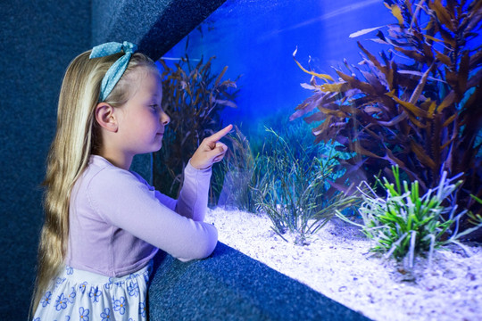 年轻女孩看着鱼缸里的鱼