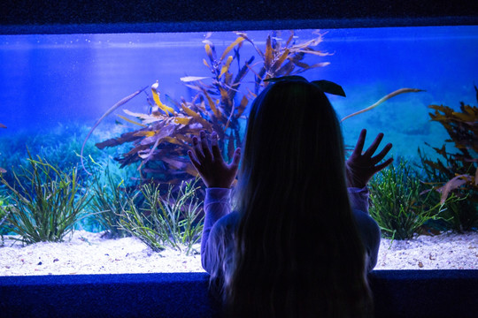 孩子们在水族馆