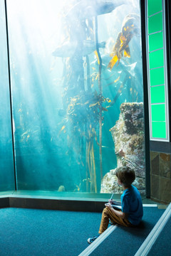 坐在水族馆里记笔记的男孩