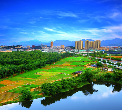 菜地 池塘 林地