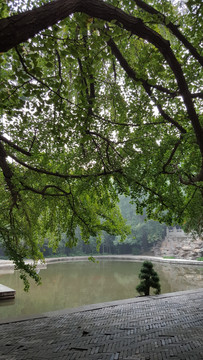 香山静翠湖