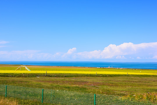 青海湖风光