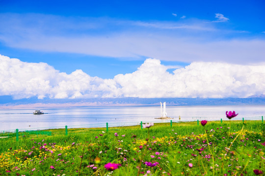 青海湖风光