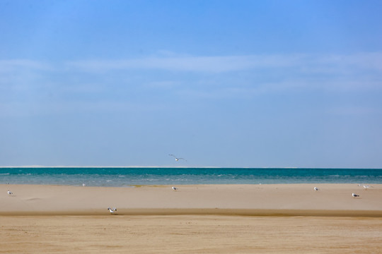 青海湖金沙湾沙漠风光