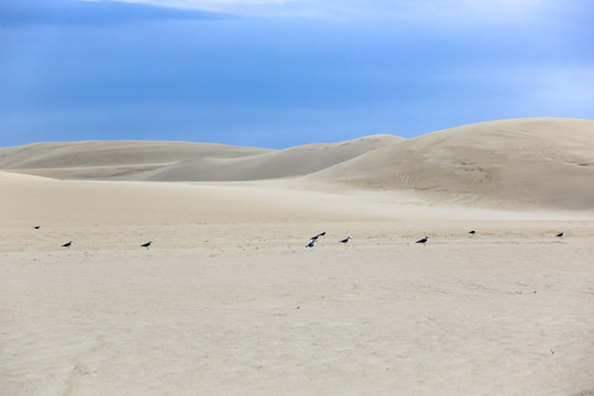 青海湖金沙湾沙漠风景