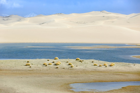 青海湖金沙湾沙湖风光