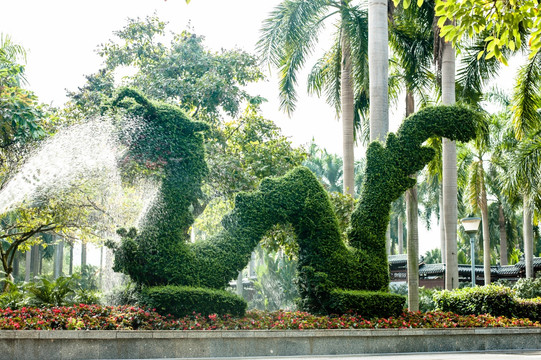 龙 植物龙造型 盆景