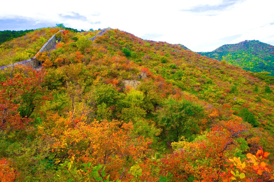 香山秋色