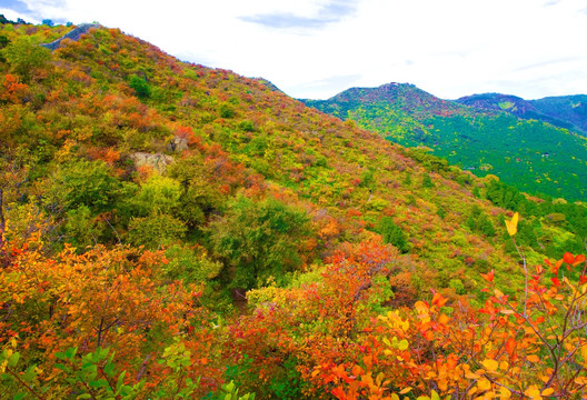 香山秋色