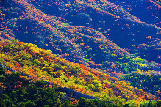 北京香山秋色