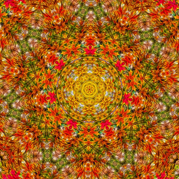 花紋 對(duì)稱花紋