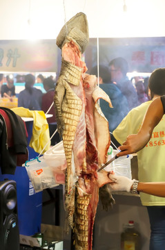 现割鳄鱼肉