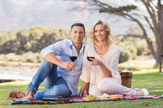 坐在野餐毯上喝红酒的夫妇