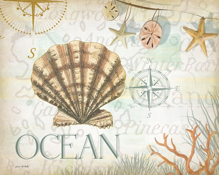 复古欧美无框画地中海海洋贝壳