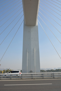斜拉桥