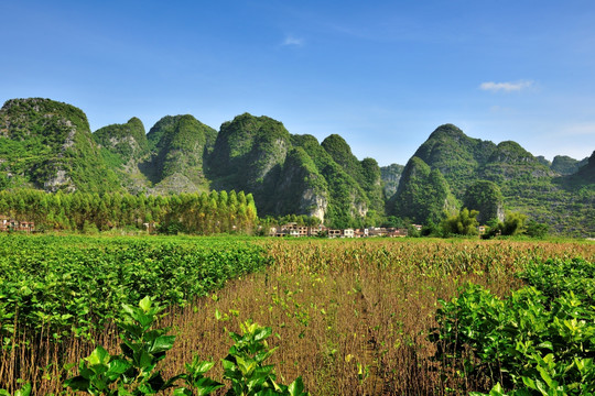 青山绿水