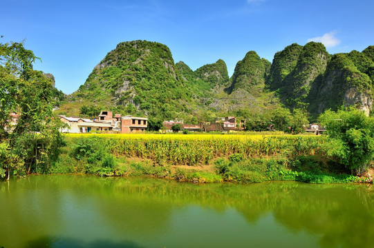 青山绿水