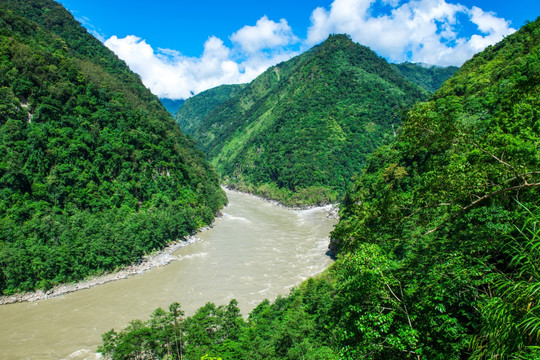 山水风光 森林植被