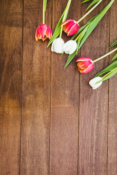 木板上的花朵
