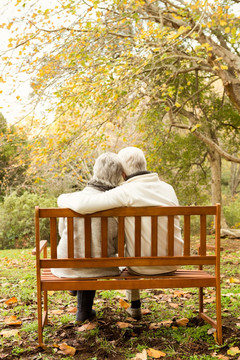 坐在公园长椅上的夫妇
