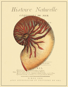huaten （16）副本