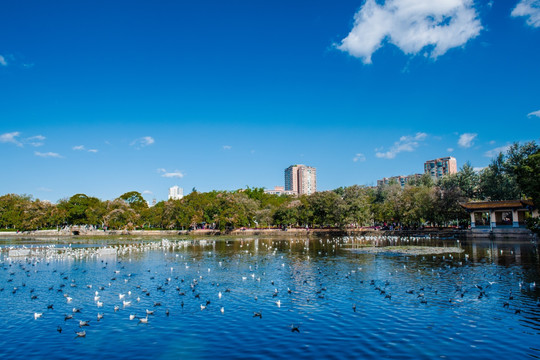 昆明翠湖全景