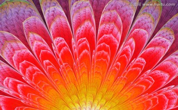 花紋圖案