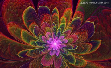 花紋圖案