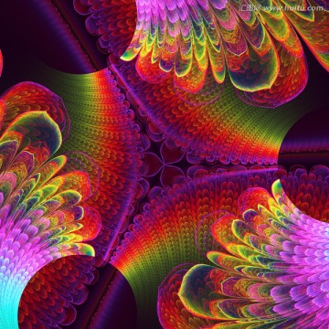 花紋圖案
