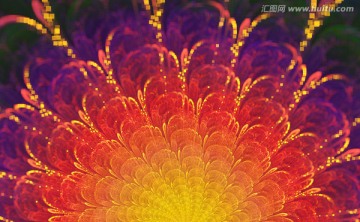 花紋圖案