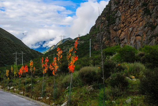 羊卓雍错 公路 山脉