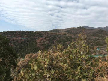 蓝天 高山