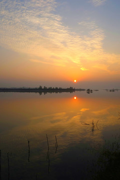 杨凌渭河湿地生态公园日落