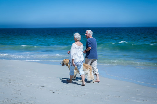 在海边牵着狗散步的老夫妇