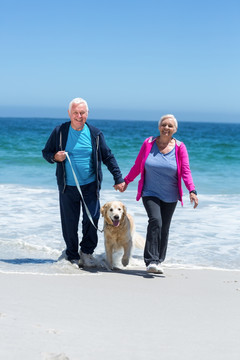 牵着狗狗走在海边的老夫妇