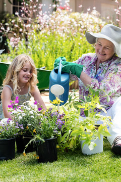 在花园里给植物浇水的奶奶和孙女