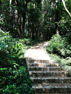 登山小道