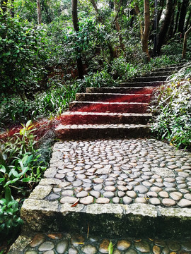 登山道